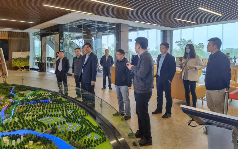 廣西旅發(fā)集團(tuán)黨委書記、董事長容賢標(biāo)考察集團(tuán)文旅項(xiàng)目